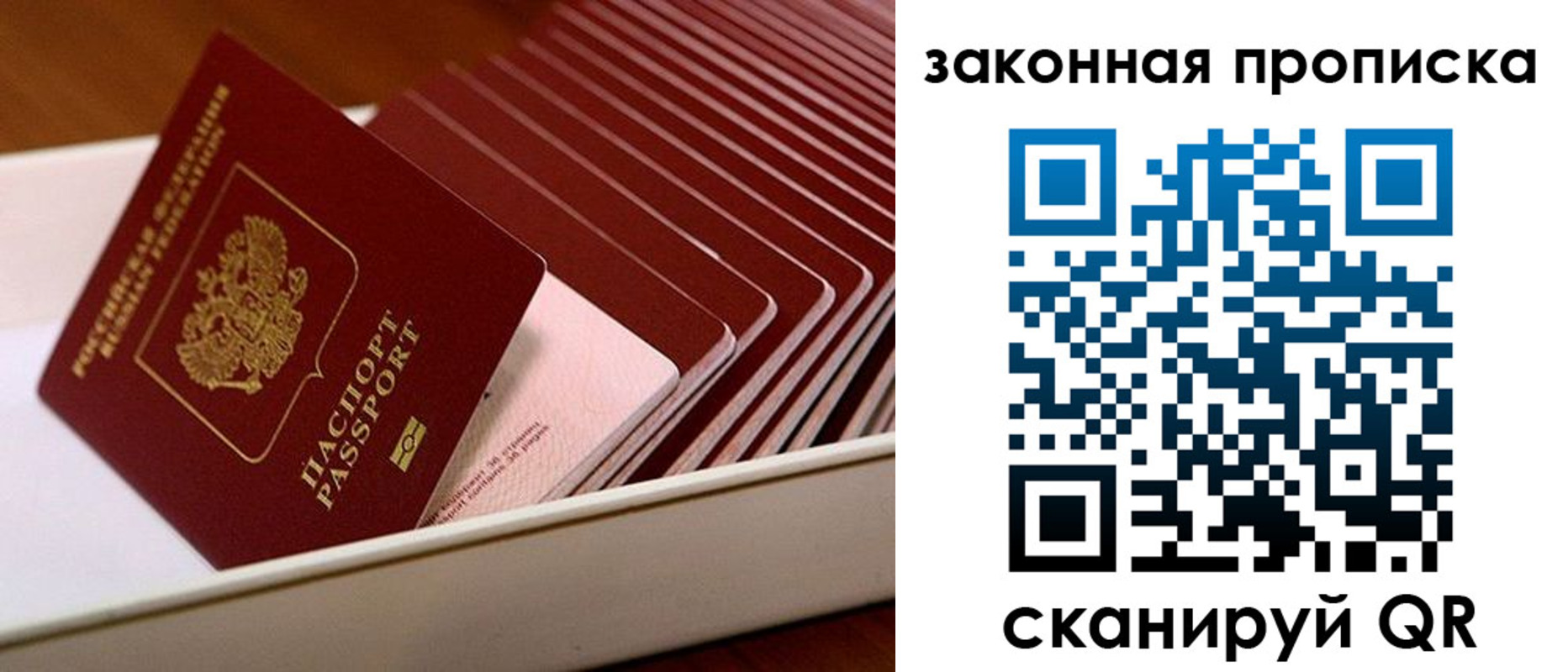 прописка ребенка в Видном